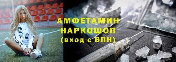 стаф Киренск
