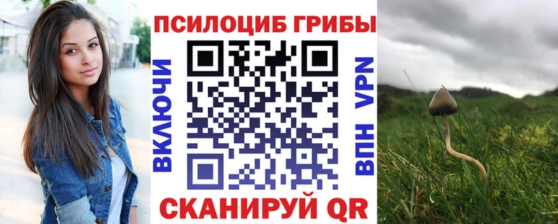Галлюциногенные грибы GOLDEN TEACHER  где продают наркотики  Северск 